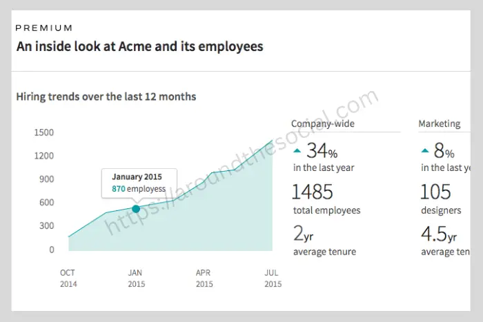 Visual representation of LinkedIn's advanced job insights feature, offering detailed career data and job market trends